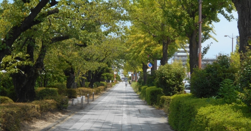 風をまとう白シャツ
